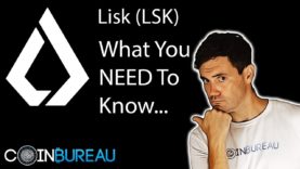 Lisk Review 2019: What’s Up with LSK?