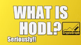 What it means to HODL and why its important