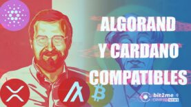 🤯 ALGORAND llega a CARDANO 🚨 Noticias bitcoin al dia y criptomonedas👈