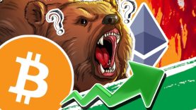 Anécdotas del Crypto Invierno y qué no hacer en un bear market