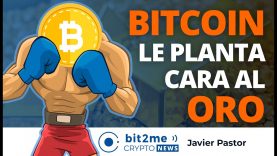 🔵 🤜🥇 BITCOIN le planta cara al ORO – Bit2Me Crypto News