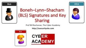BLS Signatures and Key Sharing with Crypto Pairs