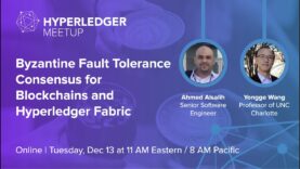 Byzantine Fault Tolerance Consensus for Blockchains and Hyperledger Fabric
