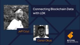 Connecting Blockchain Data with LDK