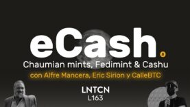Creación y evolución del eCash: Chaumian Mints, Fedimint y Cashu