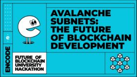 Future of Blockchain University Hackathon: Avalanche Subnets: The Future of Blockchain Development