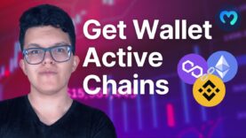 Get Any Wallet Active Chains | Moralis API