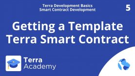 Getting a Template Terra Contract (Terra Development Basics, Smart Contracts)