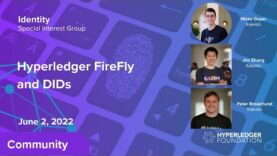 Hyperledger FireFly and DIDs with Peter Broadhurst, Jim Zhang, Nicko Guyer (ID SIG 06-02-22)