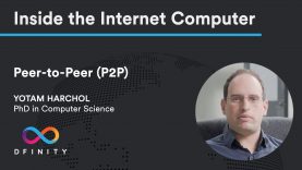 Inside the Internet Computer | Peer-to-Peer (P2P)