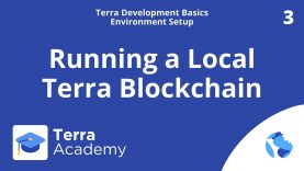 Installing LocalTerra (Terra Development Basics, Environment Setup)
