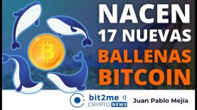 🔵 🐋 Nacen 17 nuevas BALLENAS BITCOIN  – Bit2Me Crypto News – 12-07-2021
