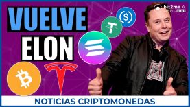 🚨 NOTICIAS CRIPTOMONEDAS HOY 🚗 Tesla pagos Bitcoin 🔒 Solana en máximos 📰 Regulación Stablecoins 👈