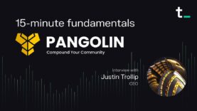 Pangolin – A multi-chain decentralized exchange | 15-minute fundamentals ep. 27