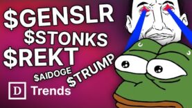 🐸PEPE COIN, GENSLR COIN, WOJAK COIN, TRUMP COIN, REKT COIN, STONKS COIN — WHEN DOES IT STOP?