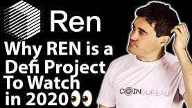 Review of Ren: Hidden Defi Gem