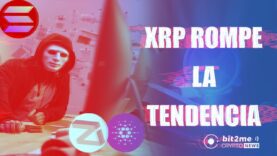 🔥 Ripple XRP se DISPARA un 65% en una semana 🚨 Noticias bitcoin hoy y criptomonedas👈