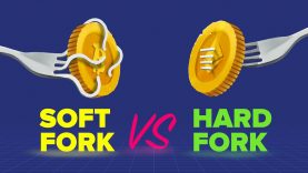 Soft Fork vs Hard Fork in Crypto (ETH Classic, Litecoin, BTC Cash…)