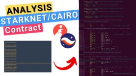 Starknet/Cairo Contract Reverse Engineering, Disassembly & Analysis with Thoth – Blockchain Security