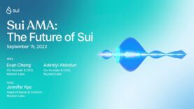 Sui AMA: The Future of Sui