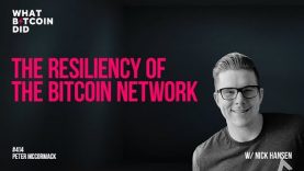 The Resiliency of the Bitcoin Network with Nick Hansen