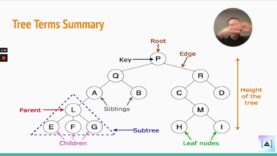 Tree Data Structures – Alchemy University