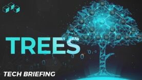 What are Trees and why are they so important? (Computer Science, Blockchain)