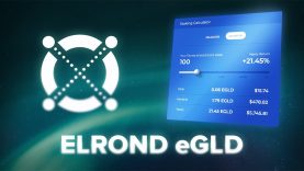 What is Elrond? eGLD Explained with Animations