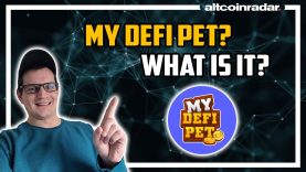 What is My DeFi Pet? My DeFi Pet for Absolute Beginners
