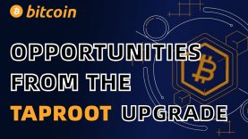 What is Taproot? How Bitcoin network can benefit from the upcoming upgrade?