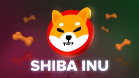 What is the Shiba Inu Coin? SHIB Explained with Animations