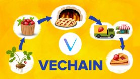 What is VeChain? VET Supply Chain Solution Explained!