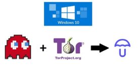 Windows 10 – Configurar Specter Wallet a un nodo Bitcoin (umbrel) usando TOR