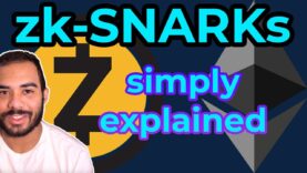 zk-SNARKs Explained – Basic Principles (Privacy, Blockchain & Crypto)